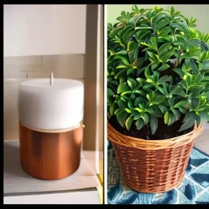 Как организовать комфортный микроклимат в отопительный период